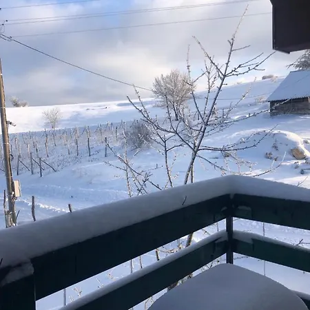 Kepin Apartment Bajina Basta