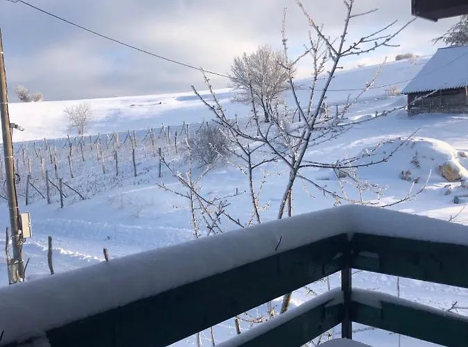 Kepin Διαμέρισμα Bajina Basta