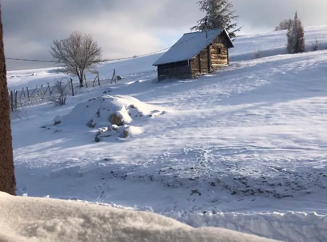 Kepin Διαμέρισμα *